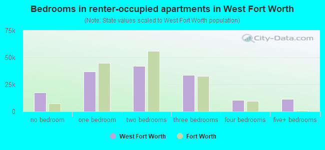 Bedrooms in renter-occupied apartments in West Fort Worth