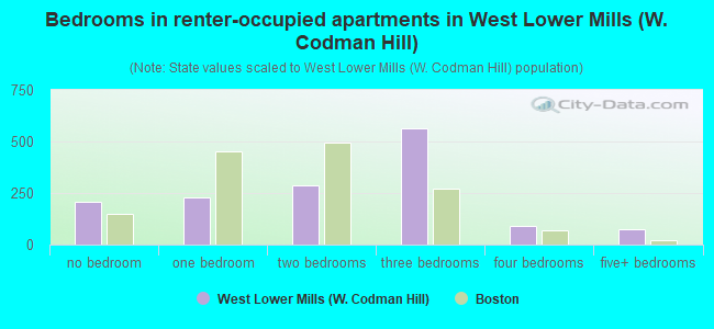 Bedrooms in renter-occupied apartments in West Lower Mills (W. Codman Hill)