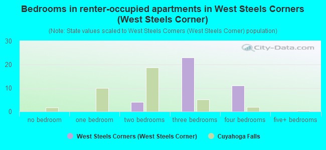 Bedrooms in renter-occupied apartments in West Steels Corners (West Steels Corner)