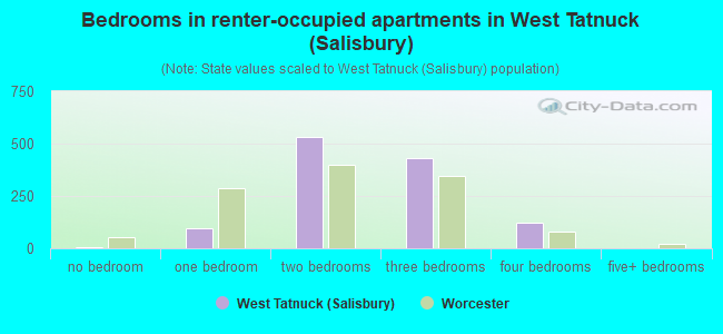 Bedrooms in renter-occupied apartments in West Tatnuck (Salisbury)