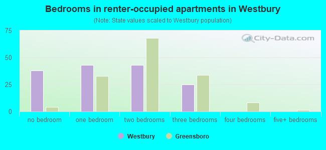 Bedrooms in renter-occupied apartments in Westbury