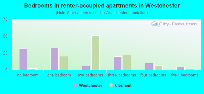 Bedrooms in renter-occupied apartments in Westchester