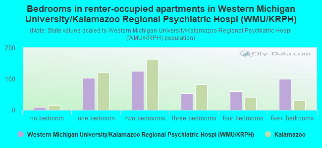 Bedrooms in renter-occupied apartments in Western Michigan University/Kalamazoo Regional Psychiatric Hospi (WMU/KRPH)