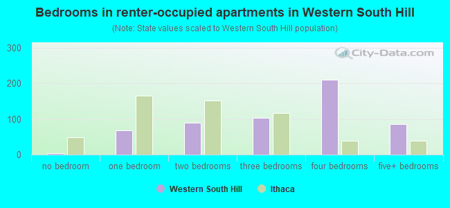 Bedrooms in renter-occupied apartments in Western South Hill