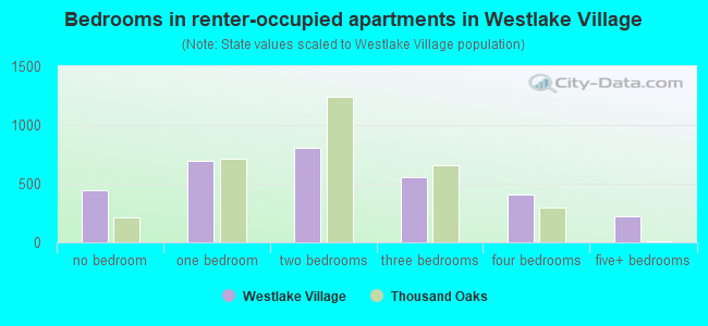 Bedrooms in renter-occupied apartments in Westlake Village