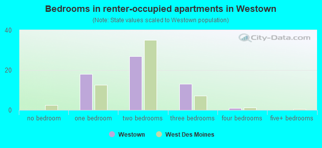 Bedrooms in renter-occupied apartments in Westown
