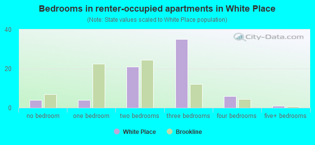 Bedrooms in renter-occupied apartments in White Place