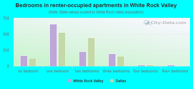 Bedrooms in renter-occupied apartments in White Rock Valley