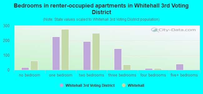 Bedrooms in renter-occupied apartments in Whitehall 3rd Voting District