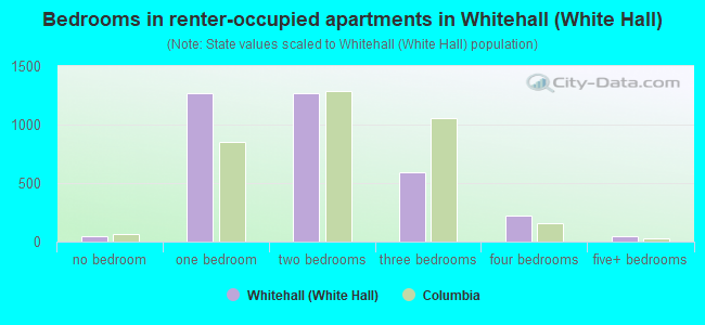 Bedrooms in renter-occupied apartments in Whitehall (White Hall)