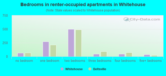 Bedrooms in renter-occupied apartments in Whitehouse
