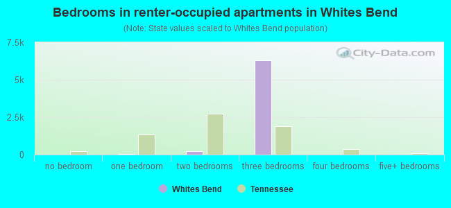 Bedrooms in renter-occupied apartments in Whites Bend