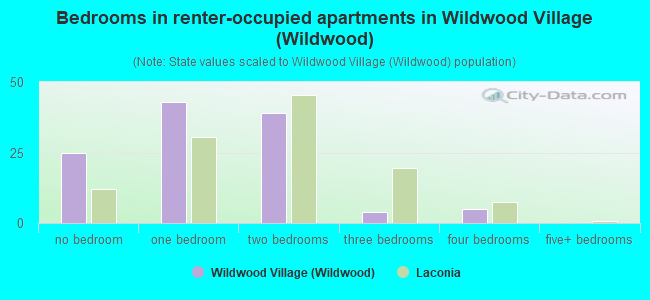 Bedrooms in renter-occupied apartments in Wildwood Village (Wildwood)