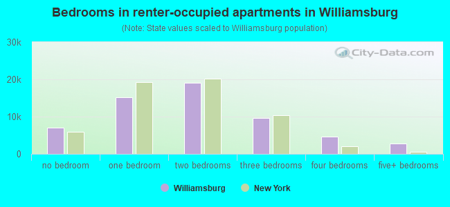 Bedrooms in renter-occupied apartments in Williamsburg