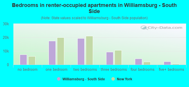 Bedrooms in renter-occupied apartments in Williamsburg - South Side