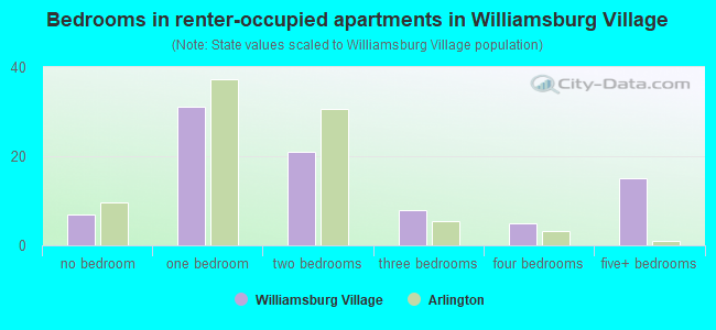 Bedrooms in renter-occupied apartments in Williamsburg Village