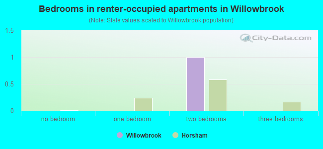 Bedrooms in renter-occupied apartments in Willowbrook