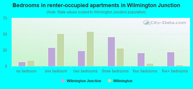 Bedrooms in renter-occupied apartments in Wilmington Junction
