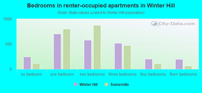 Bedrooms in renter-occupied apartments in Winter Hill