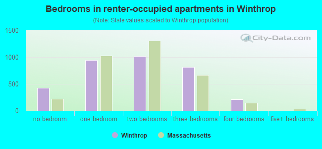 Bedrooms in renter-occupied apartments in Winthrop
