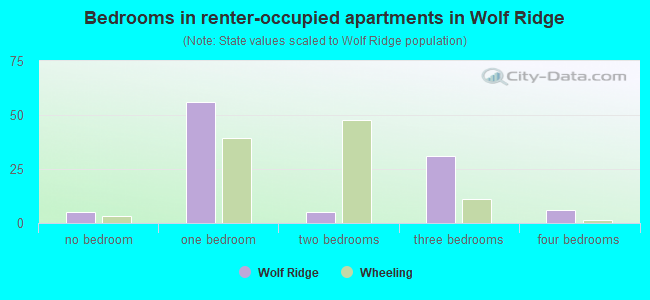 Bedrooms in renter-occupied apartments in Wolf Ridge