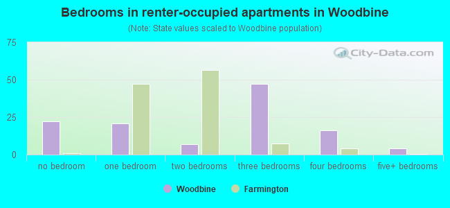 Bedrooms in renter-occupied apartments in Woodbine