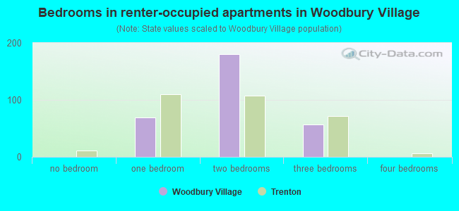 Bedrooms in renter-occupied apartments in Woodbury Village