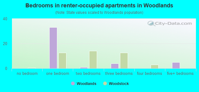 Bedrooms in renter-occupied apartments in Woodlands
