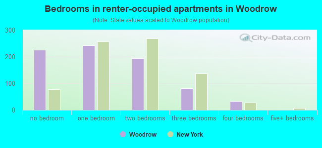 Bedrooms in renter-occupied apartments in Woodrow