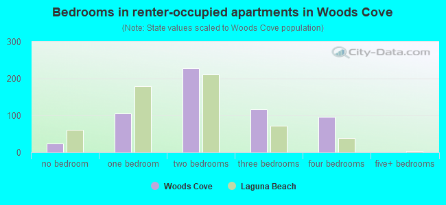 Bedrooms in renter-occupied apartments in Woods Cove