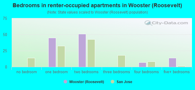 Bedrooms in renter-occupied apartments in Wooster (Roosevelt)