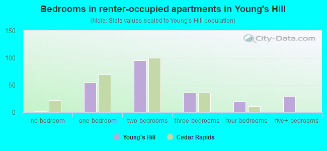 Bedrooms in renter-occupied apartments in Young's Hill