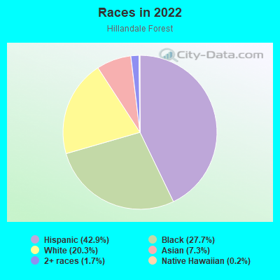 Races in 2019
