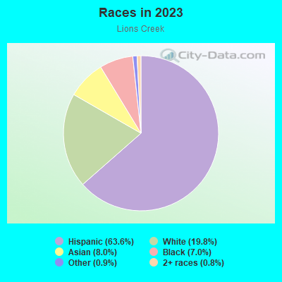 Races in 2019