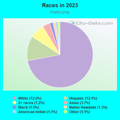 Races in 2019