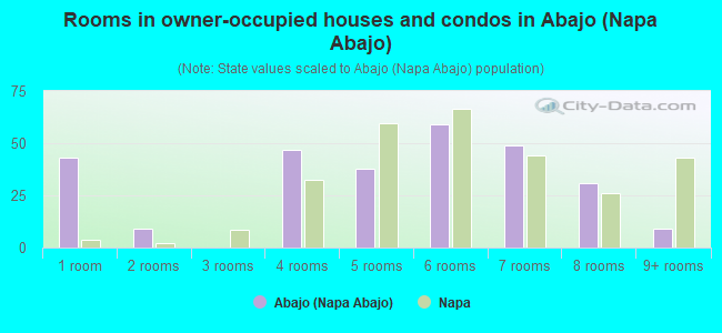 Rooms in owner-occupied houses and condos in Abajo (Napa Abajo)
