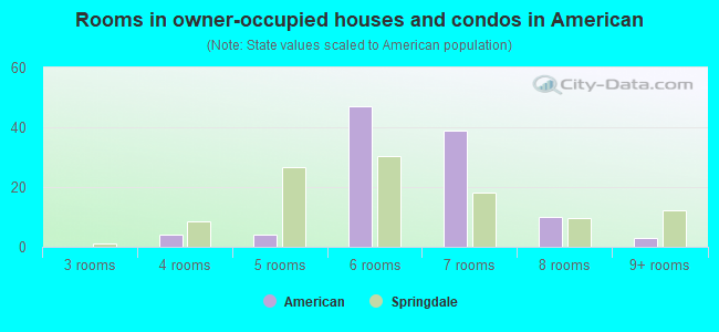 Rooms in owner-occupied houses and condos in American