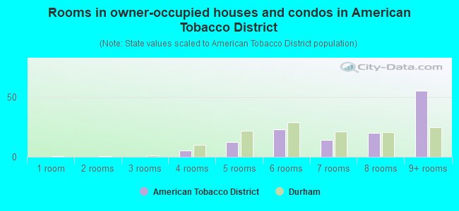 Rooms in owner-occupied houses and condos in American Tobacco District