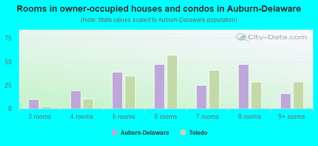 Rooms in owner-occupied houses and condos in Auburn-Delaware