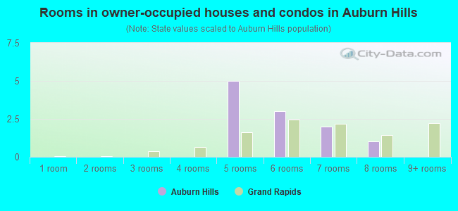 Rooms in owner-occupied houses and condos in Auburn Hills