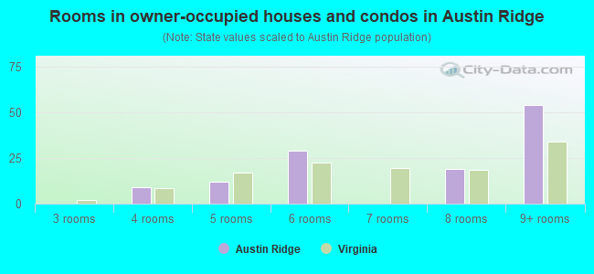 Rooms in owner-occupied houses and condos in Austin Ridge