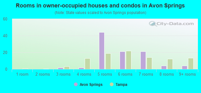 Rooms in owner-occupied houses and condos in Avon Springs
