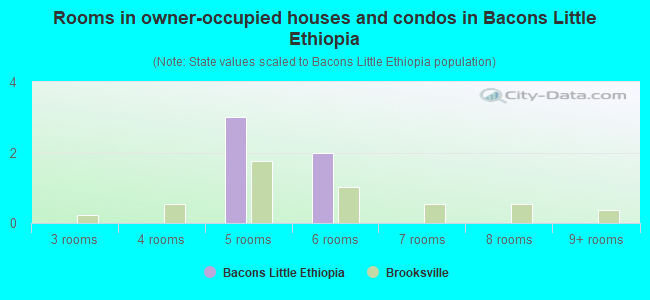 Rooms in owner-occupied houses and condos in Bacons Little Ethiopia