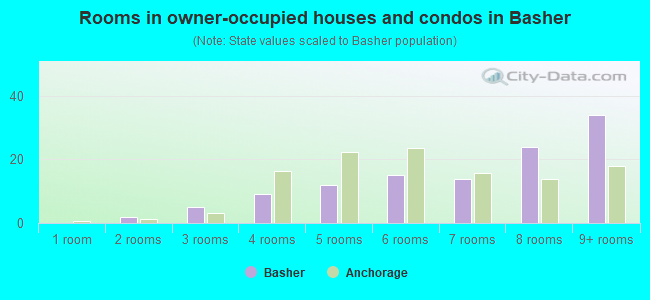 Rooms in owner-occupied houses and condos in Basher
