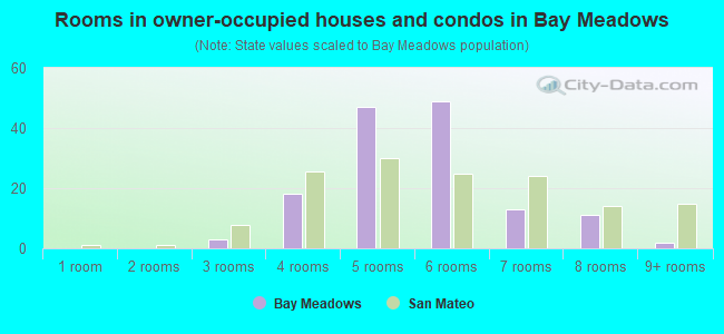 Rooms in owner-occupied houses and condos in Bay Meadows