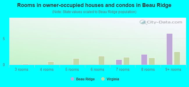 Rooms in owner-occupied houses and condos in Beau Ridge
