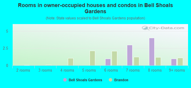 Rooms in owner-occupied houses and condos in Bell Shoals Gardens