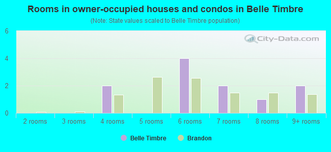 Rooms in owner-occupied houses and condos in Belle Timbre