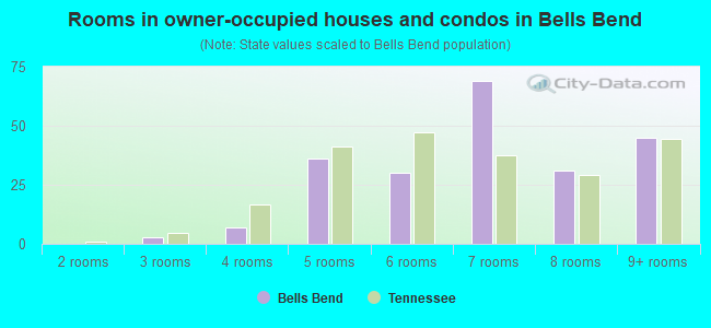 Rooms in owner-occupied houses and condos in Bells Bend