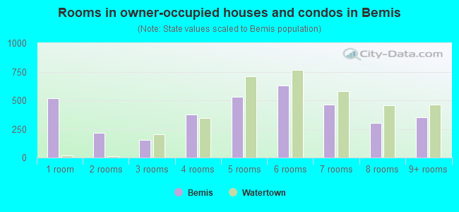 Rooms in owner-occupied houses and condos in Bemis
